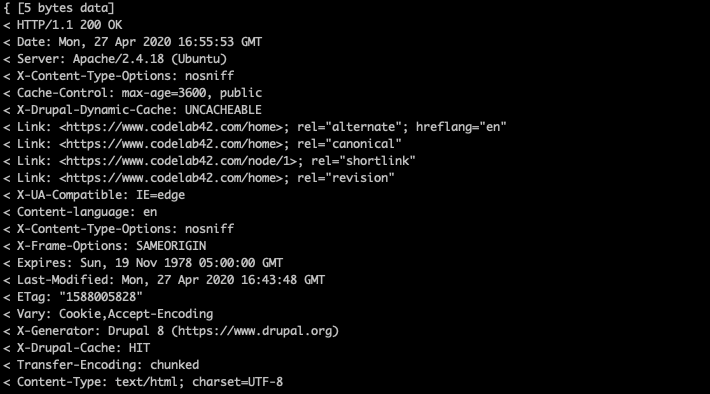Codelab42 http headers